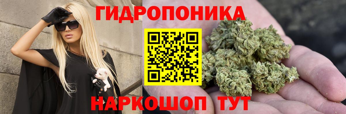Бошки марихуана SATIVA & INDICA  Вход с VPN  Каннабис марихуана  Щёлково  Каннабис SATIVA & INDICA  Марихуана OG Kush 